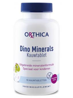 Dino minerals
