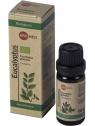 Eucalyptus olie bio