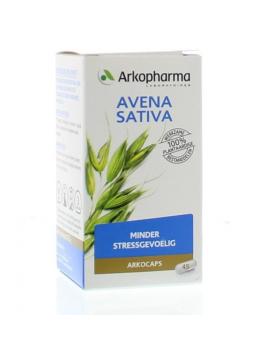 Avena sativa