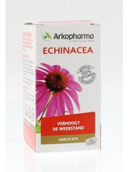 Echinacea