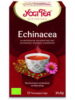 Echinacea