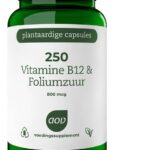 AOV 250 Vitamine B12 & foliumzuur