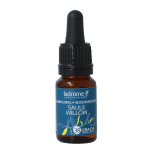 Ladrome Willow bio
