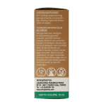 Olfae Eucalyptus radiata 08 bio - Afbeelding 3