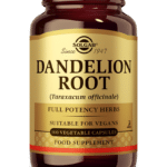 Dandelion (Paardenbloem) Root
