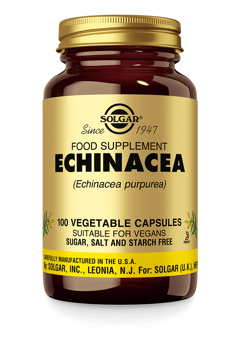 3870.png Echinacea - Afbeelding 1