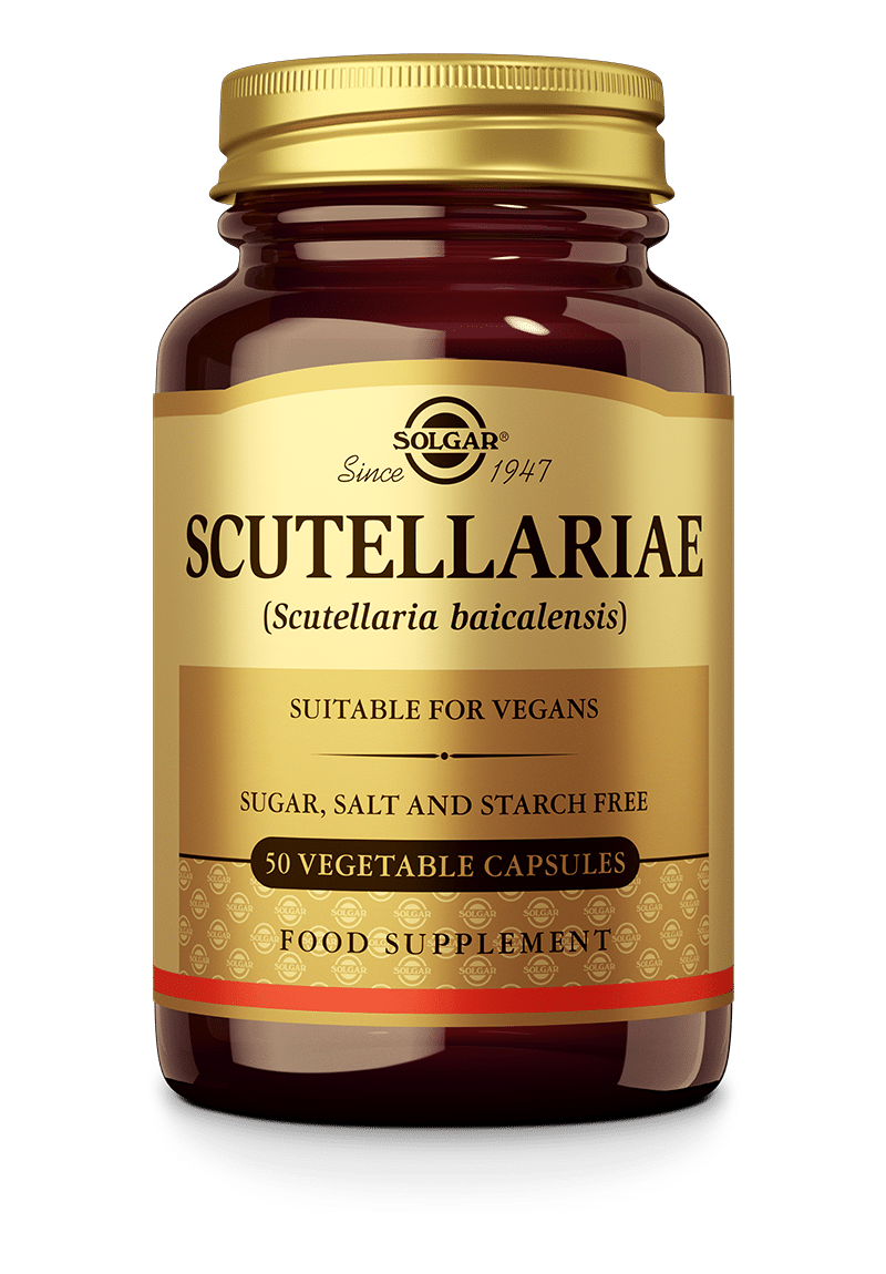 4994.png Scutellariae - Afbeelding 1