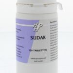 Holisan Sudak