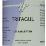 Holisan Trifagul