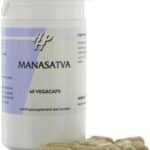 Holisan Manasatva