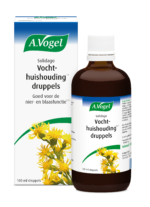 A Vogel Solidago complex - Afbeelding 5