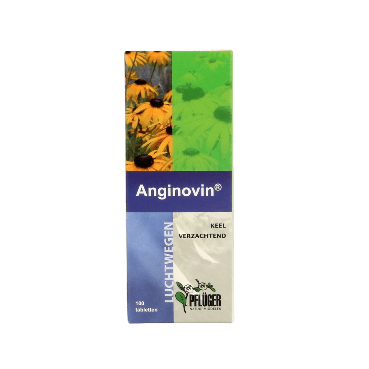 8713286009408_A1N1.png Pflüger Anginovin - Afbeelding 1