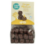TerraSana Ginger pleasure choco bio