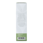 Chi Kamille roomse cultivar - Afbeelding 4