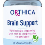 Orthica Brain support