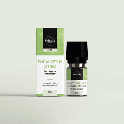 Volatile Eucalyptus citriodora
