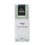 Volatile Thuja