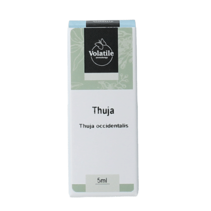 Volatile Thuja
