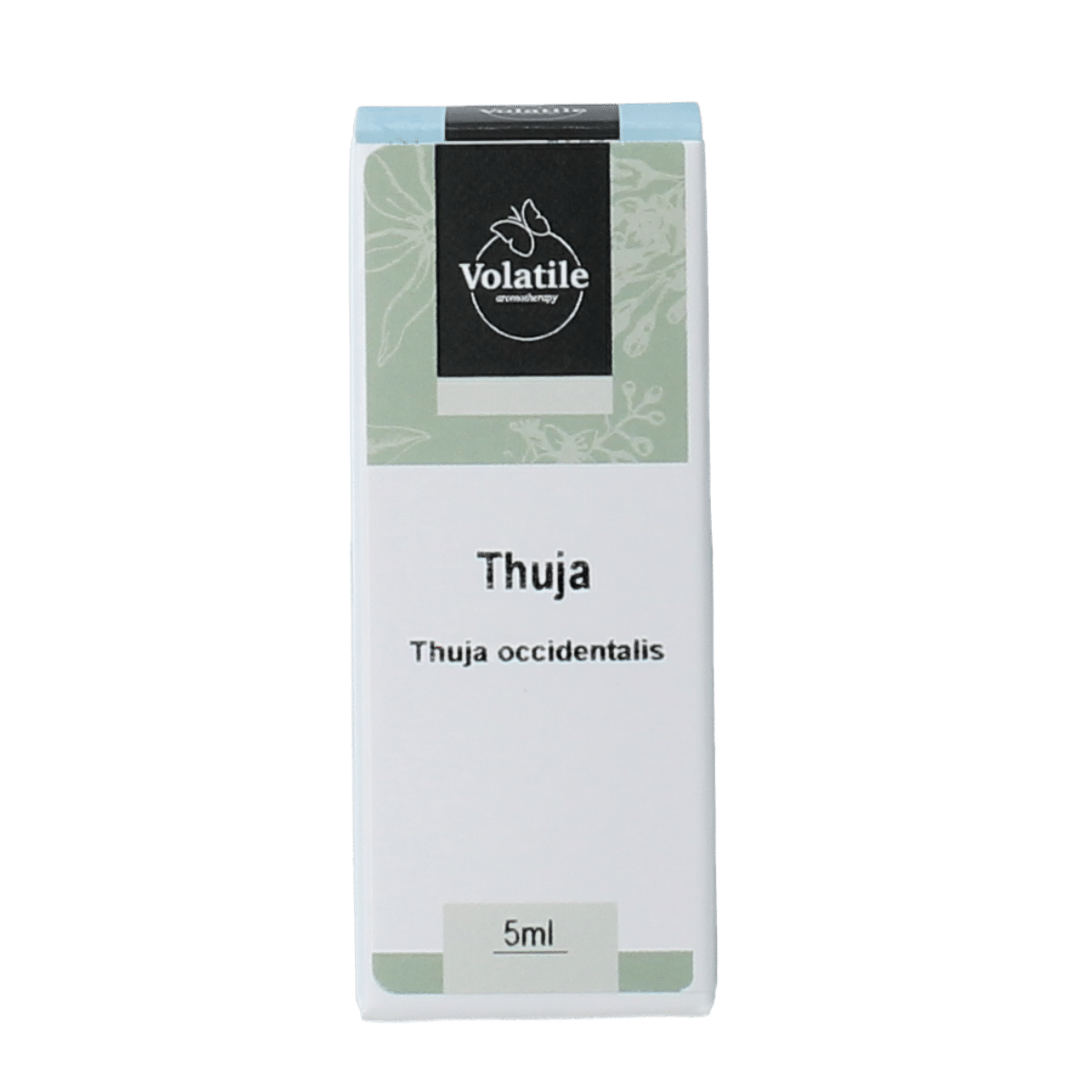 8715542003694_A1N1.png Volatile Thuja - Afbeelding 1