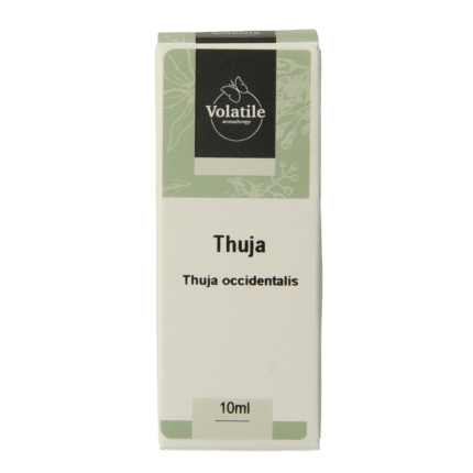Volatile Thuja
