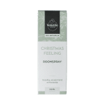 Volatile Roomspray christmas feelings