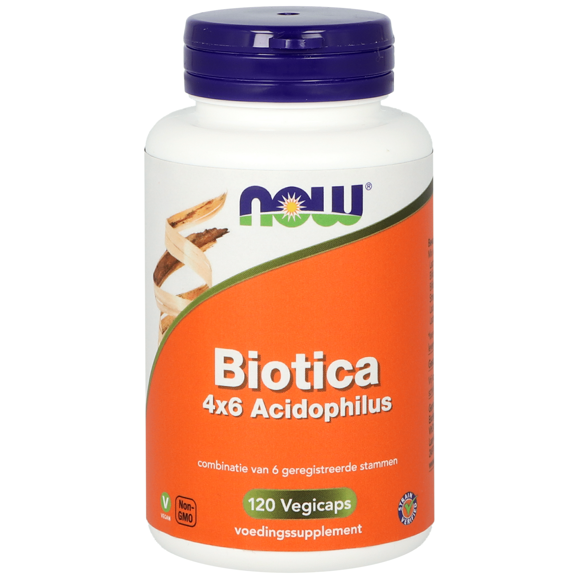 733739160119_A1N1.png NOW Biotica 4 x 6 acidophilus - Afbeelding 1