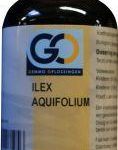 GO Ilex aquafolium