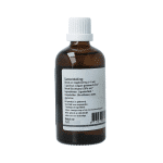 GO Ligustrum vulgare - Afbeelding 2