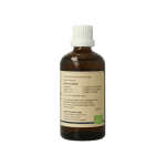 GO Carpinus betulus bio - Afbeelding 3