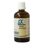 GO Fagus sylvatica bio