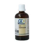 GO Ilex aquifolium