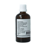 GO Ilex aquifolium - Afbeelding 2