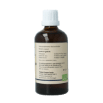 GO Ilex aquifolium - Afbeelding 3