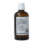 GO Platanus orientalis bio - Afbeelding 2