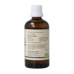 GO Platanus orientalis bio - Afbeelding 3