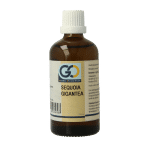 GO Sequoia gigantea bio