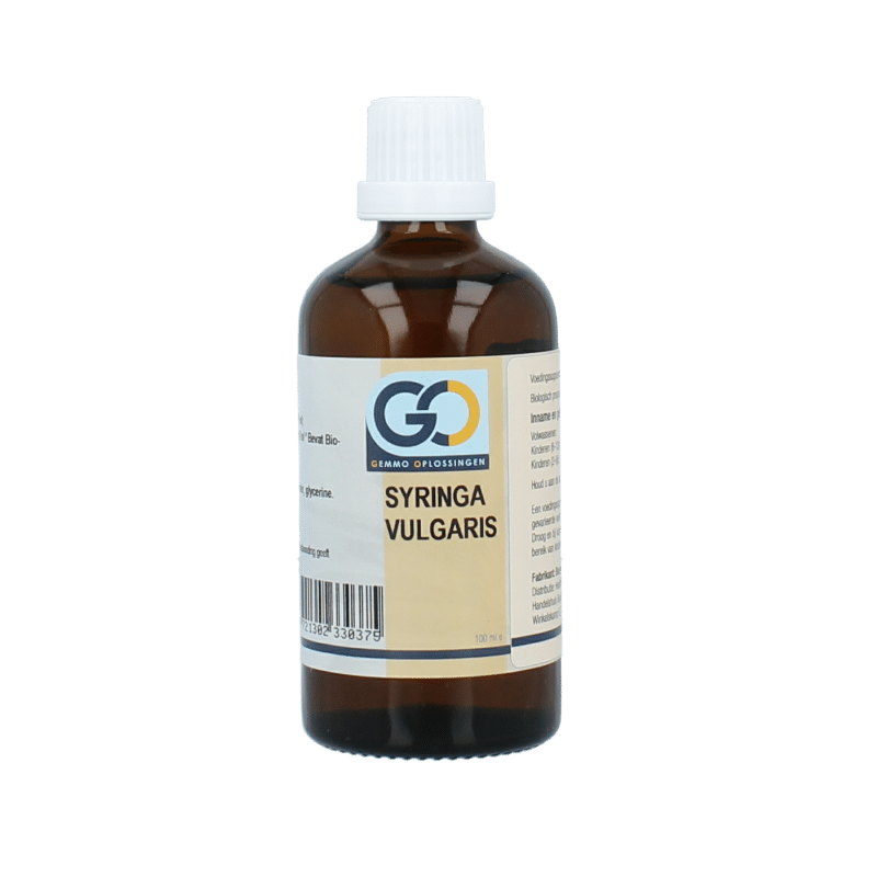 8721302330375_A1N1.png GO Syringa vulgaris bio - Afbeelding 1
