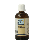 GO Ulmus campestris bio