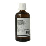 GO Ulmus campestris bio - Afbeelding 2