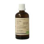 GO Ulmus campestris bio - Afbeelding 3