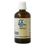 GO Vitis vinifera bio