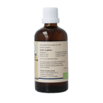 GO Aesculus hippocastanum bio - Afbeelding 3