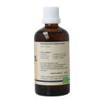 GO Ampelopsis weitchii bio - Afbeelding 3