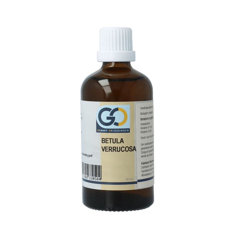 8721302330504_A1N1.png GO Betula verrucosa bio - Afbeelding 1