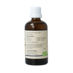 GO Betula verrucosa bio - Afbeelding 3