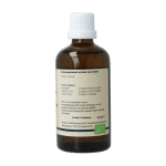 GO Buxus sempervirens bio - Afbeelding 3