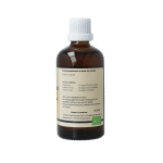 GO Corylus avellana bio - Afbeelding 3