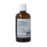 GO Pinus montana bio - Afbeelding 2