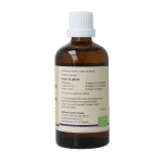 GO Pinus montana bio - Afbeelding 3