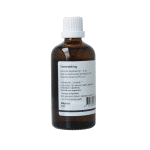 GO Quercus pedunculata - Afbeelding 2
